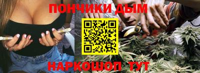 индика Ирбит