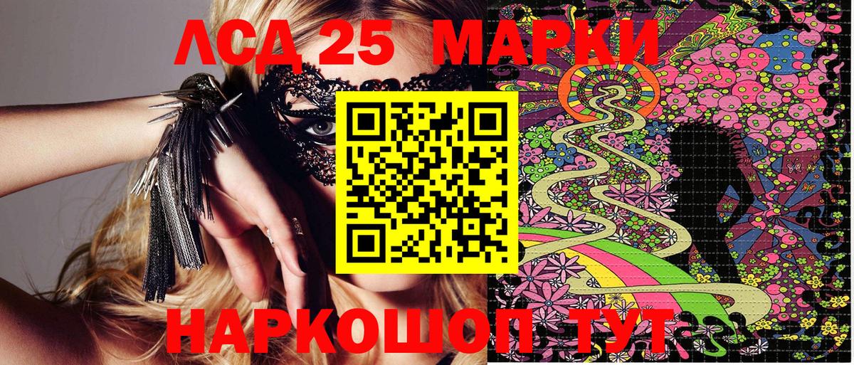 Галлюциногенные грибы Назрань