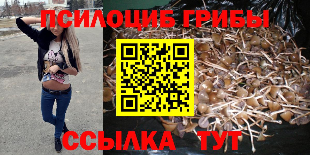 Назрань  Псилоцибиновые грибы GOLDEN TEACHER  Вход с VPN  Галлюциногенные грибы ЛСД 
