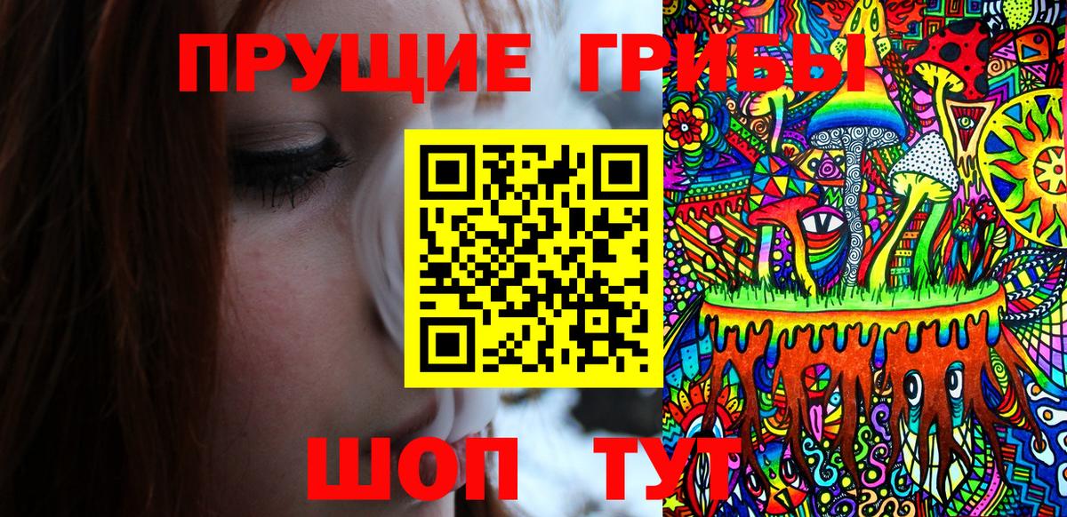 Псилоцибиновые грибы Psilocybine cubensis Назрань